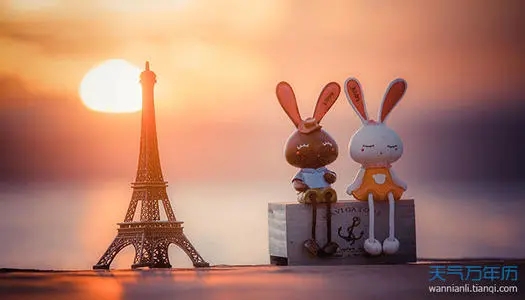 每日暖心情话句子文案