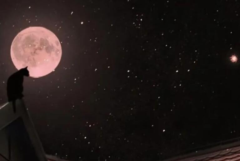 被甩扎心语录文案壁纸