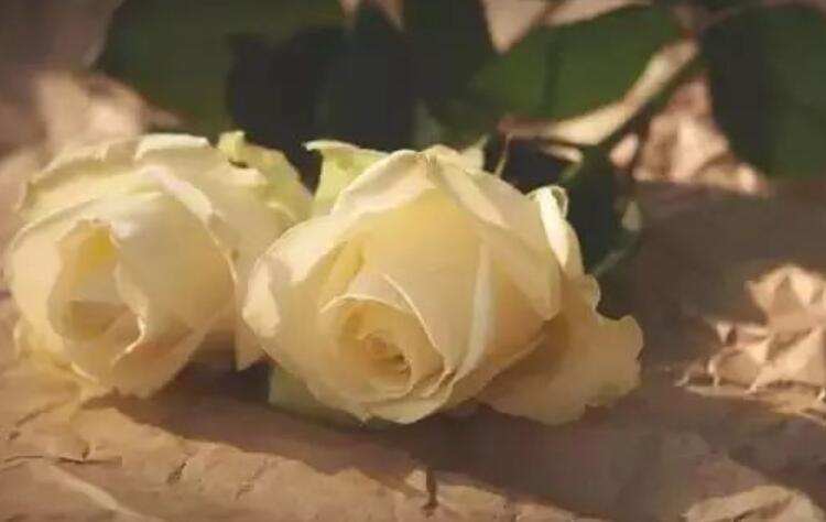 天主教的经典语录文案