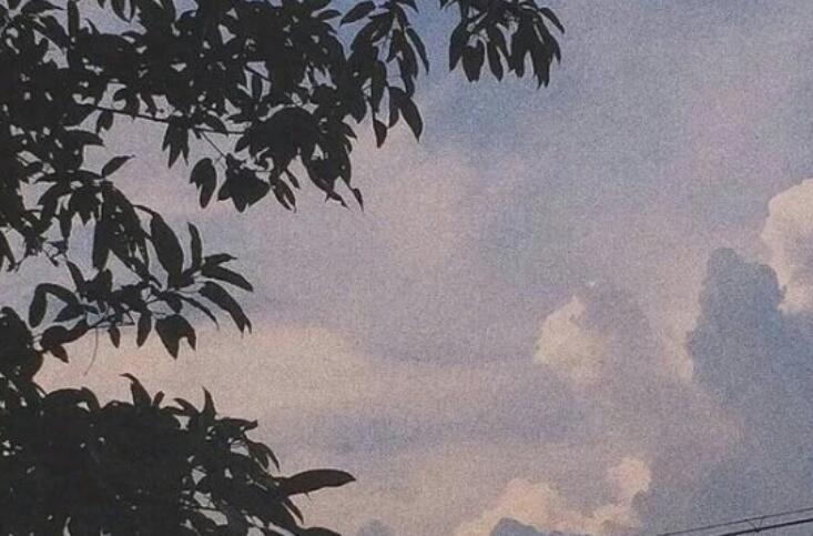 抖音逗比语录文案