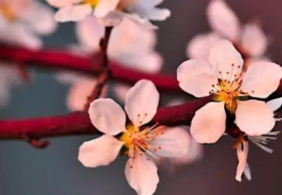 表达默默陪伴的古诗词