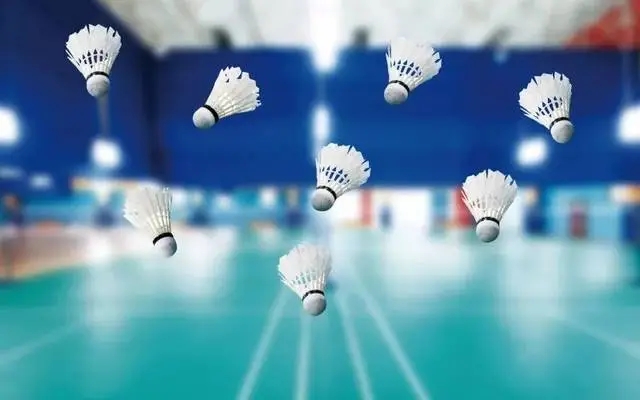 打羽毛球的精彩句子文案