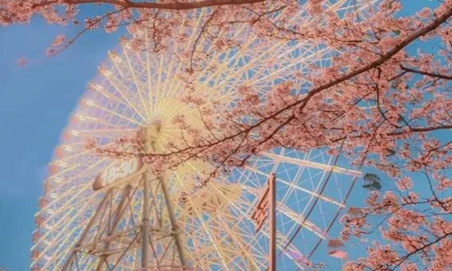 简短质量经典语句文案