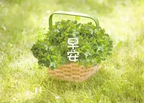 早安短句说说文案大全