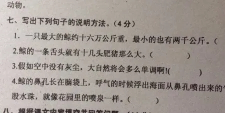 写出为什么的句子文案