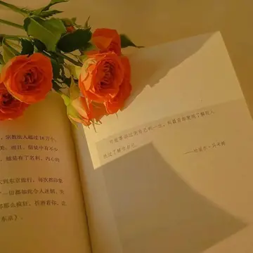 走心文案高质量的短句