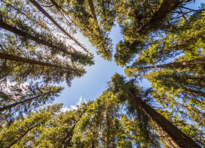 表示健康最重要的朋友圈句子文案