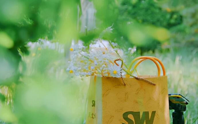 唯美的英文句子文案治愈系