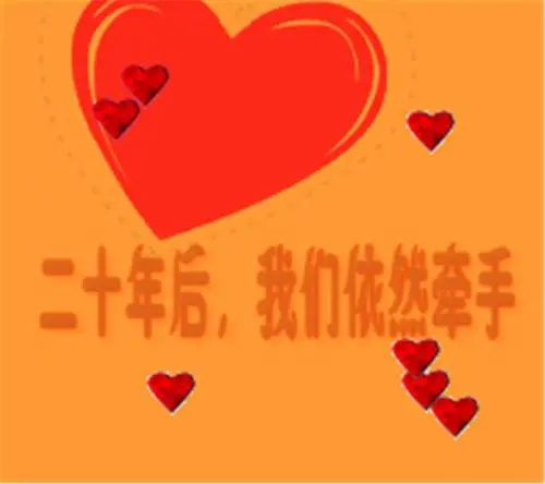 女人结婚二十周年感言