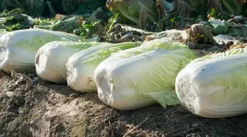 表示东西太贵的说说文案