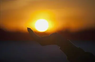 手握太阳唯美温暖句子文案