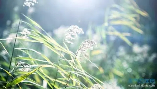 愉快最简单一句话开心