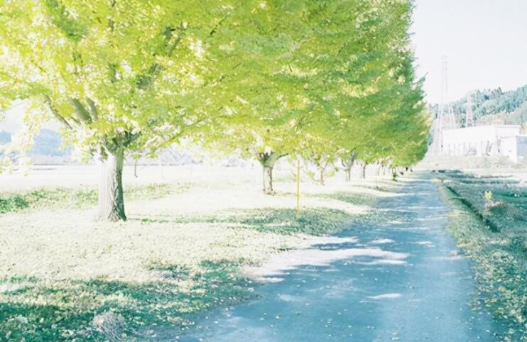 关于哲理句子文案精辟短句