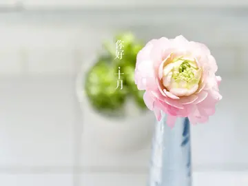 十月唯美句子文案