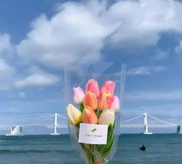 心情快乐唯美简短句子文案