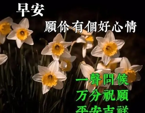 代替早安的温柔句子文案