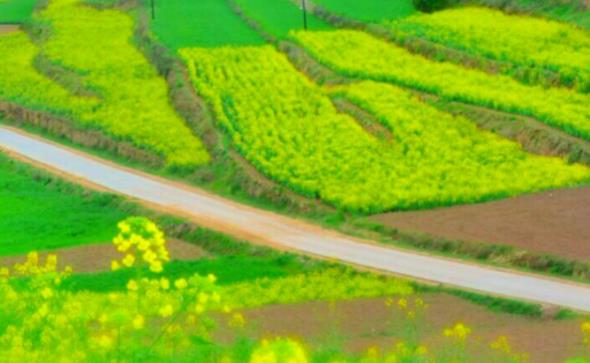 赞美春天美景短句