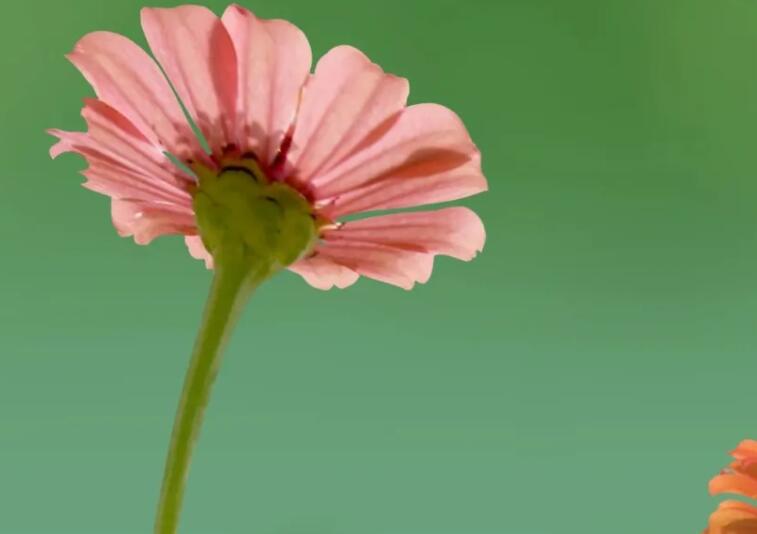 告别三月迎接四月的文案