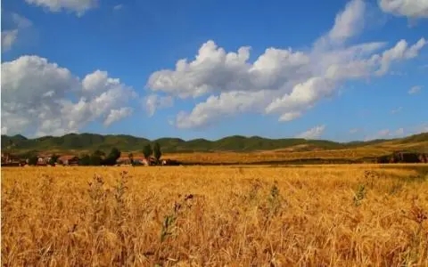 表达收获满满的句子文案