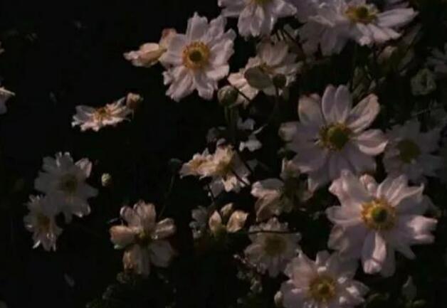 形容无奈和认命的句子文案