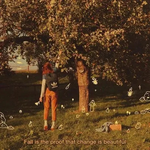 感恩遇见朋友的句子文案