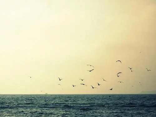 海边旅行唯美文艺短句