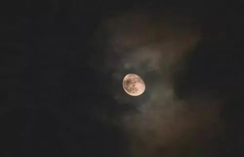 思念入骨的诗句文案