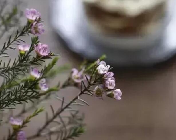 描写一天很短的句子文案