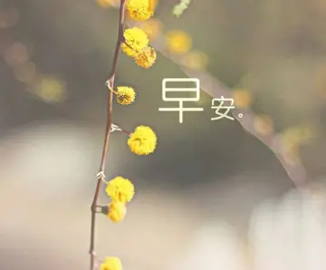 很幽默很皮的早安问候语