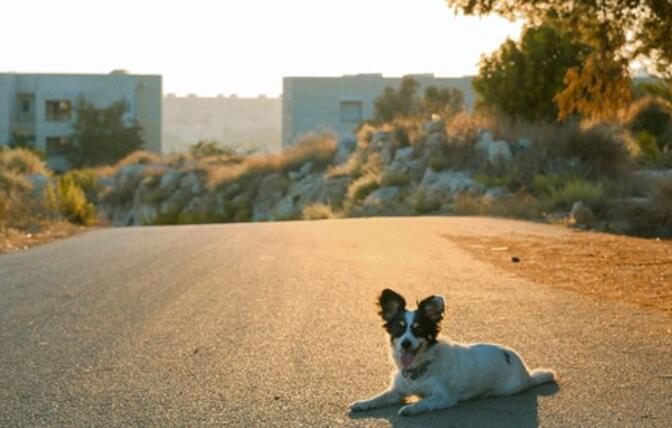经历生死后的感悟说说文案