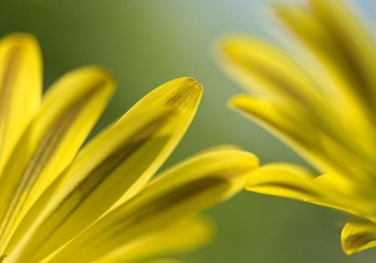 早上好的问候正能量美句