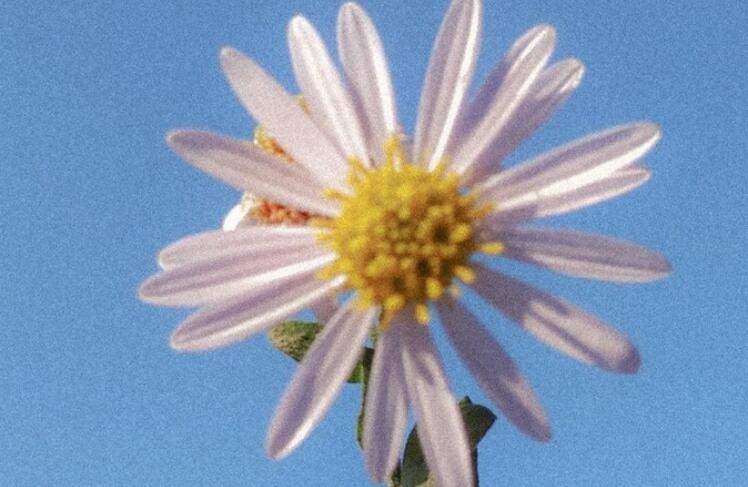 唯美励志经典简短句子文案