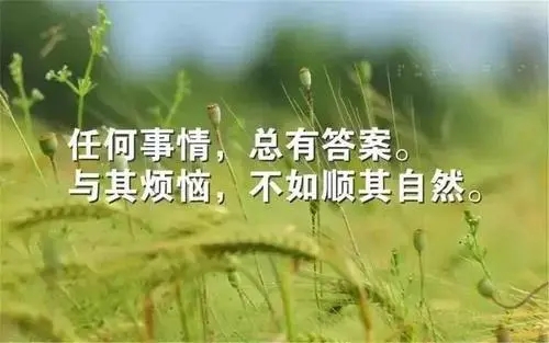 4月正能量语句文案