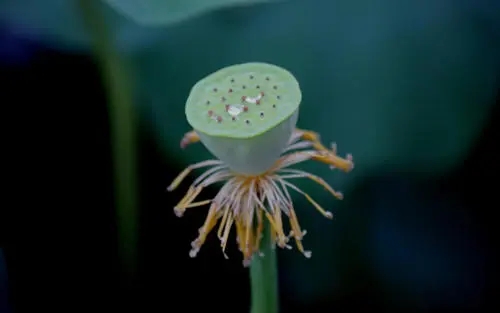 关于雨后的唯美句子文案简短