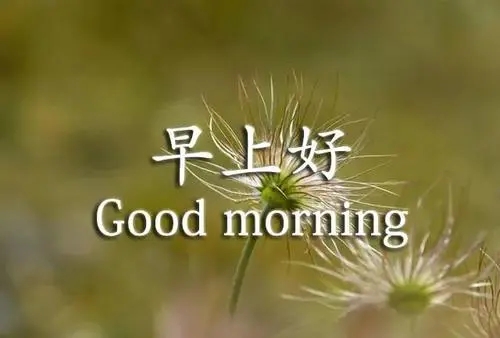 周末早上好的句子文案