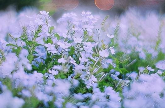 相信自己的励志名言