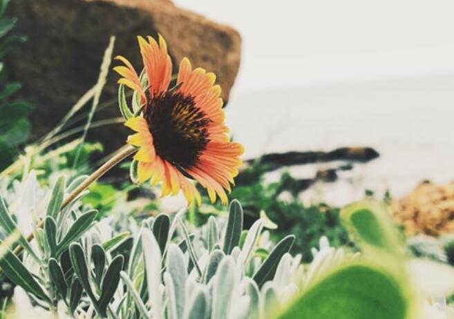 劝人失败后振作的话