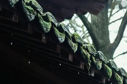 形容人朴素的句子文案