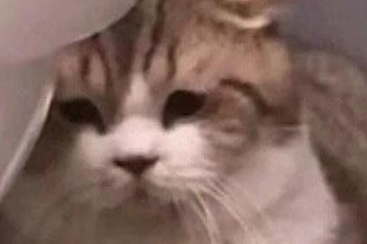 又丧又沙雕的文案