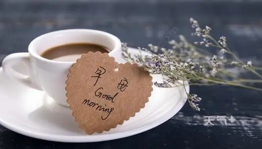 早上好的幽默风趣句子文案