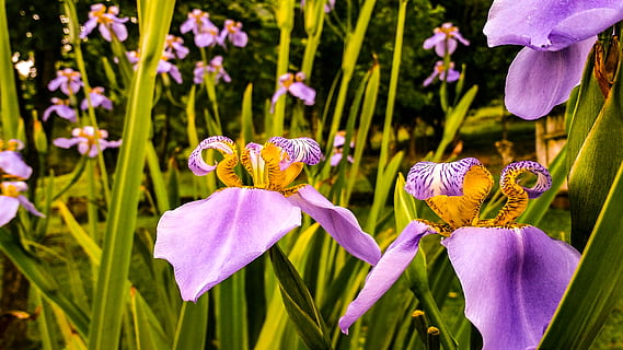 好好爱自己的简短诗句文案