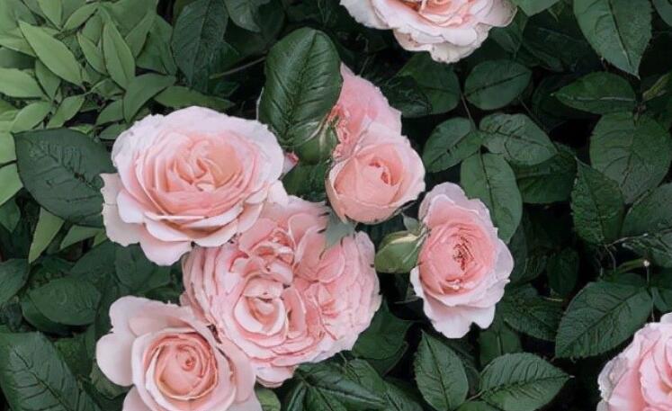 失去了信任的感情说说文案