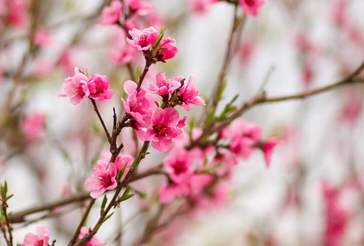 奋斗的唯美句子文案