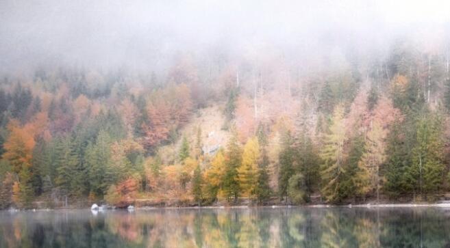 真诚相待的经典语录文案