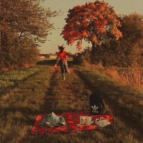 感恩遇见朋友的句子文案