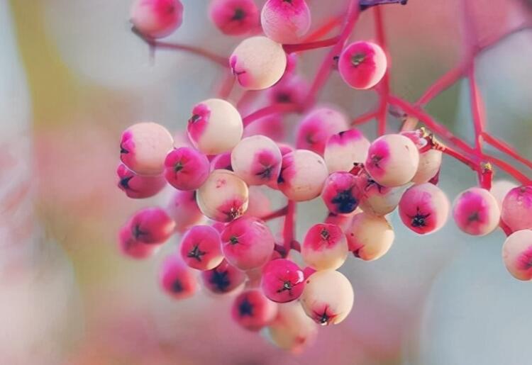 朋友圈简短戳心的话