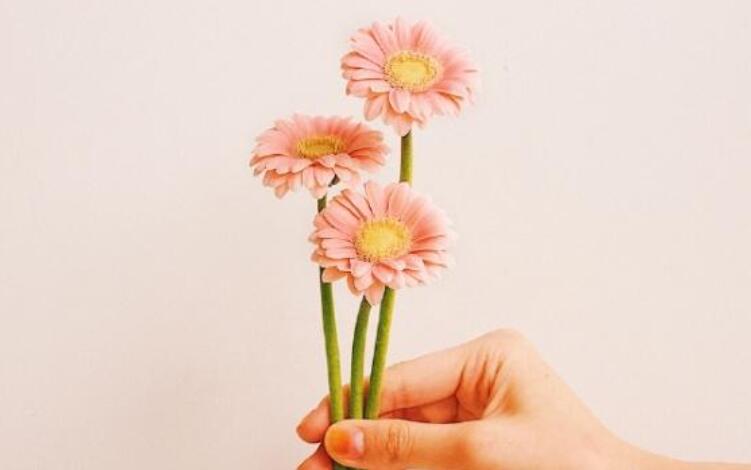 2024最新早安励志语录文案