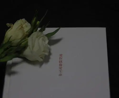 小清新句子文案女生八字