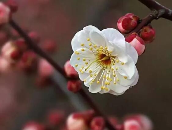 描写烛光的唯美句子文案