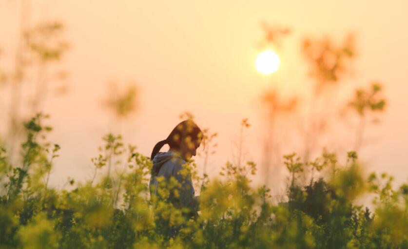 搜索经典名言名句文案